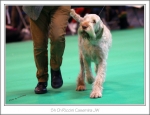Filename=R-Casemira-3.jpg
Filesize=431KiB
Dimensions=1057x816
Date added=May 26, 2014 R-Casemira-3.jpg