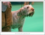 Filename=R-Casemira-4.jpg
Filesize=364KiB
Dimensions=1032x815
Date added=May 26, 2014 R-Casemira-4.jpg
