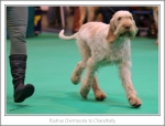 Filename=R-Cherriecola-2.jpg
Filesize=380KiB
Dimensions=1074x817
Date added=May 26, 2014 R-Cherriecola-2.jpg