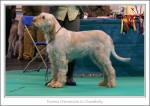 Filename=R-Cherriecola.jpg
Filesize=490KiB
Dimensions=1158x821
Date added=May 26, 2014 R-Cherriecola.jpg