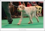Filename=R-Kemelia-2.jpg
Filesize=433KiB
Dimensions=1183x822
Date added=May 26, 2014 R-Kemelia-2.jpg