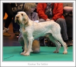Filename=R-TheTattler.jpg
Filesize=371KiB
Dimensions=912x809
Date added=May 26, 2014 R-TheTattler.jpg