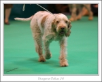 Filename=S-Delius-2.jpg
Filesize=323KiB
Dimensions=1018x815
Date added=May 26, 2014 S-Delius-2.jpg