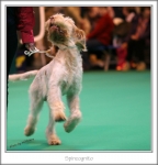 Filename=Spincognito-1.jpg
Filesize=248KiB
Dimensions=771x802
Date added=May 26, 2014 Spincognito-1.jpg