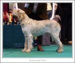 Filename=T-Aten.jpg
Filesize=390KiB
Dimensions=963x811
Date added=May 26, 2014 T-Aten.jpg