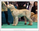 Filename=T-MistyDawn.jpg
Filesize=413KiB
Dimensions=1003x813
Date added=May 26, 2014 T-MistyDawn.jpg