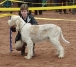 Filename=L-Glenglassaugh.jpg
Filesize=210KiB
Dimensions=700x625
Date added=Feb 24, 2013 L-Glenglassaugh.jpg