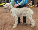 Filename=L-PlentyOtoole.jpg
Filesize=208KiB
Dimensions=700x559
Date added=Feb 24, 2013 L-PlentyOtoole.jpg