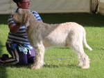 Filename=B-Alfresco.jpg
Filesize=214KiB
Dimensions=700x532
Date added=May 26, 2014 B-Alfresco.jpg