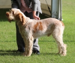 Filename=B-GeorgeGently.jpg
Filesize=259KiB
Dimensions=700x592
Date added=May 26, 2014 B-GeorgeGently.jpg