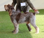 Filename=C-TedBaker.jpg
Filesize=231KiB
Dimensions=700x600
Date added=May 26, 2014 C-TedBaker.jpg