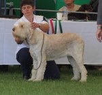 Filename=G-Amiata.jpg
Filesize=176KiB
Dimensions=700x649
Date added=May 26, 2014 G-Amiata.jpg