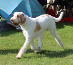 Filename=M-GoodAsGold.jpg
Filesize=240KiB
Dimensions=700x621
Date added=May 26, 2014 M-GoodAsGold.jpg