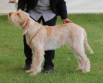 Filename=R-Kemelia.jpg
Filesize=193KiB
Dimensions=700x573
Date added=May 26, 2014 R-Kemelia.jpg