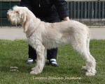 Filename=L-ItalianJasmine.jpg
Filesize=237KiB
Dimensions=700x569
Date added=May 26, 2014 L-ItalianJasmine.jpg
