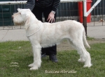 Filename=R-Abrielle.jpg
Filesize=206KiB
Dimensions=700x519
Date added=May 26, 2014 R-Abrielle.jpg