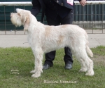 Filename=R-Kemelia.jpg
Filesize=225KiB
Dimensions=700x586
Date added=May 26, 2014 R-Kemelia.jpg