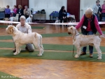 Filename=BOB.JPG
Filesize=140KiB
Dimensions=900x675
Date added=May 26, 2014 BOB.JPG