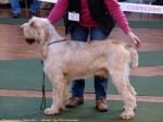 Filename=C-Chauki.jpg
Filesize=124KiB
Dimensions=900x675
Date added=May 26, 2014 C-Chauki.jpg