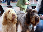 Filename=Dora&Neo.jpg
Filesize=151KiB
Dimensions=900x675
Date added=May 26, 2014 Dora&Neo.jpg