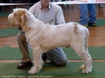 Filename=H-KirRoyale.jpg
Filesize=137KiB
Dimensions=900x677
Date added=May 26, 2014 H-KirRoyale.jpg