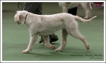C-PearlyHeath-4.jpg
