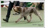 Nom du fichier=G-PeggySue-2.jpg
Taille du fichier=430Ko
Dimensions : 1212x750
Ajouté le : 26 Mai 2014 G-PeggySue-2.jpg