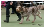 Nom du fichier=G-PeggySue-3.jpg
Taille du fichier=435Ko
Dimensions : 1201x750
Ajouté le : 26 Mai 2014 G-PeggySue-3.jpg