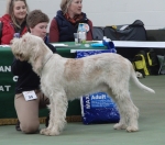 Filename=L-Glenglassaugh.jpg
Filesize=183KiB
Dimensions=700x620
Date added=May 26, 2014 L-Glenglassaugh.jpg
