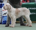 Filename=L-Knockdhu.jpg
Filesize=179KiB
Dimensions=700x581
Date added=May 26, 2014 L-Knockdhu.jpg