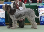 Filename=L-Niamh.jpg
Filesize=184KiB
Dimensions=700x517
Date added=May 26, 2014 L-Niamh.jpg