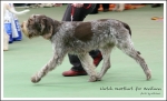 Filename=L-Owzthat-2.jpg
Filesize=451KiB
Dimensions=1233x750
Date added=May 26, 2014 L-Owzthat-2.jpg