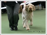Filename=N-GotToBeThere-2.jpg
Filesize=380KiB
Dimensions=1000x750
Date added=May 26, 2014 N-GotToBeThere-2.jpg