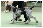 Filename=T-WickedWinnie-2.jpg
Filesize=414KiB
Dimensions=1155x750
Date added=May 26, 2014 T-WickedWinnie-2.jpg