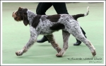 Filename=T-WickedWinnie-3.jpg
Filesize=449KiB
Dimensions=1200x750
Date added=May 26, 2014 T-WickedWinnie-3.jpg