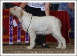 Filename=B CuttingEdge.jpg
Filesize=374KiB
Dimensions=1066x780
Date added=May 26, 2014 B CuttingEdge.jpg