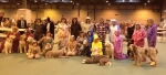 Filename=Group photo.jpg
Filesize=171KiB
Dimensions=866x398
Date added=May 26, 2014 Group photo.jpg