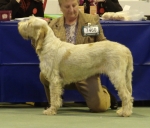 Filename=R-FairDinkum.jpg
Filesize=631KiB
Dimensions=1976x1696
Date added=May 26, 2014 R-FairDinkum.jpg