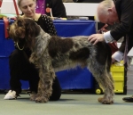 Dateiname=T-Ettore.jpg
Dateigröße=561KB
Abmessungen: 1824x1576
hinzugefügt am: 26. Mai 2014 T-Ettore.jpg