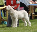Filename=B-AlFresco.jpg
Filesize=210KiB
Dimensions=700x615
Date added=May 26, 2014 B-AlFresco.jpg