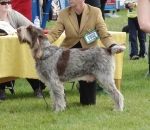 Filename=C-TedBaker.jpg
Filesize=230KiB
Dimensions=700x609
Date added=May 26, 2014 C-TedBaker.jpg