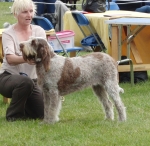 Dateiname=I-Harriet.jpg
Dateigröße=246KB
Abmessungen: 700x684
hinzugefügt am: 26. Mai 2014 I-Harriet.jpg