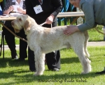 Filename=B-RudeRebel.jpg
Filesize=230KiB
Dimensions=700x574
Date added=May 26, 2014 B-RudeRebel.jpg