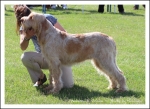 Filename=A Viviana.jpg
Filesize=510KiB
Dimensions=1066x780
Date added=May 26, 2014 A Viviana.jpg
