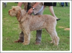 Filename=E Ghilea.jpg
Filesize=489KiB
Dimensions=1066x780
Date added=May 26, 2014 E Ghilea.jpg