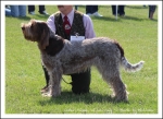 Filename=L Niamh.jpg
Filesize=495KiB
Dimensions=1066x780
Date added=May 26, 2014 L Niamh.jpg