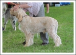Filename=M Enzo.jpg
Filesize=426KiB
Dimensions=1066x780
Date added=May 26, 2014 M Enzo.jpg