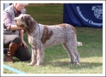Filename=I Harriet.jpg
Filesize=490KiB
Dimensions=1066x780
Date added=May 26, 2014 I Harriet.jpg