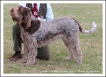 Filename=L Niamh.jpg
Filesize=505KiB
Dimensions=1066x780
Date added=May 26, 2014 L Niamh.jpg