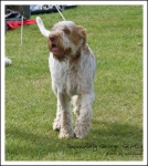 Filename=B-GeorgeGently-1.jpg
Filesize=407KiB
Dimensions=761x850
Date added=May 26, 2014 B-GeorgeGently-1.jpg